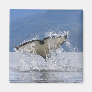 Canada, British Columbia, Vancouver Island; Magneet