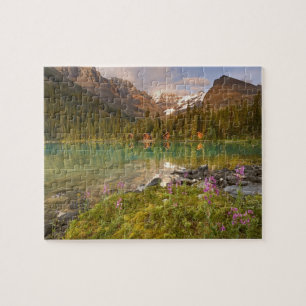 Canada, British Columbia, Yoho National Park. 2 Legpuzzel