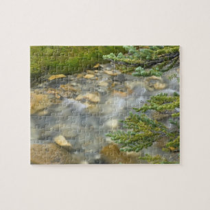 Canada, British Columbia, Yoho National Park. 4 Legpuzzel