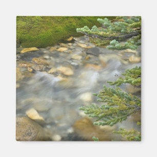 Canada, British Columbia, Yoho National Park. 4 Magneet