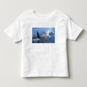 Canada, Brits-Columbia, Johnstone Straight, Kinder Shirts
