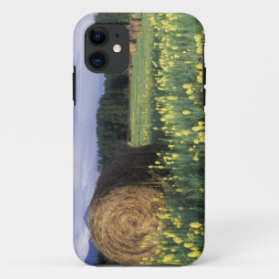 Canada, Brits-Columbia, Kitwanga. Geel iPhone 11 Hoesje