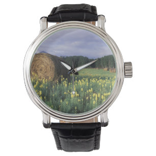 Canada, Brits-Columbia, Kitwanga. Geel Horloge