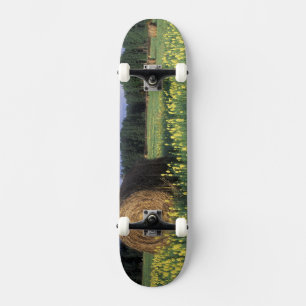 Canada, Brits-Columbia, Kitwanga. Geel Skateboard