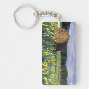 Canada, Brits-Columbia, Kitwanga. Geel Sleutelhanger