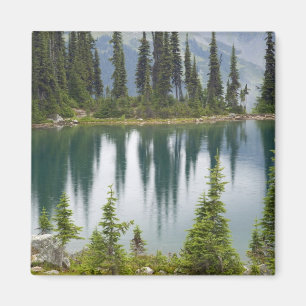 Canada, Brits-Columbia, Revelstoke Nationaal Magneet