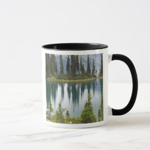 Canada, Brits-Columbia, Revelstoke Nationaal Mok