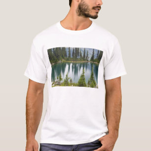 Canada, Brits-Columbia, Revelstoke Nationaal T-shirt