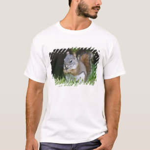 Canada, Brits-Columbia, Rode Eekhoorn Grove T-shirt