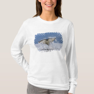 Canada, Brits-Columbia, Vancouver-eiland, T-shirt