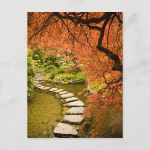 CANADA, Brits-Columbia, Victoria. Herfst Briefkaart