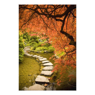 CANADA, Brits-Columbia, Victoria. Herfst Foto Afdruk