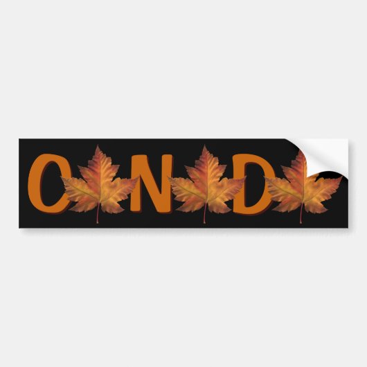 Canada Bumpersticker Autumn Gold Maple Leaf (Voorkant)