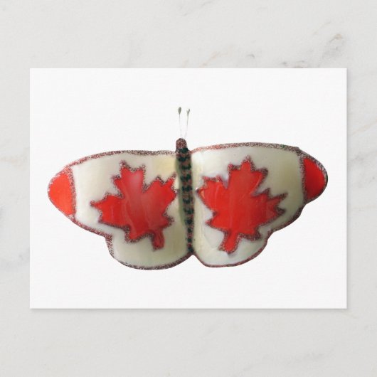 Canada Butterfly Briefkaart (Voorkant)
