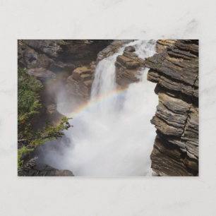 Canada - Carte postale des chutes Athabasca