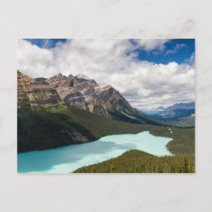 Canada - Carte postale Peyto Lake