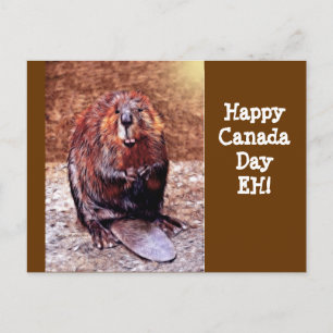 Canada Day Beaver Briefkaart