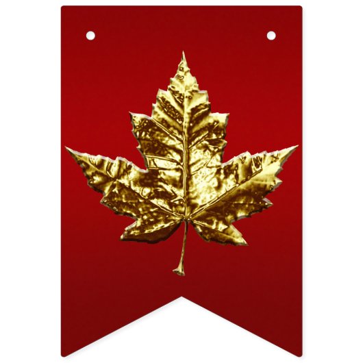 Canada Day Bunting Banners Canada Team Decoraties (Tweede vlag)