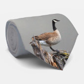 CANADA GAAT MET KLEUTEN STROPDAS (Opgerold)