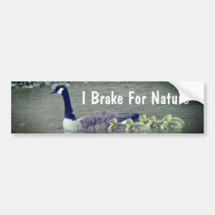 Canada Gans Babys Ik Rem Voor De Natuur Bumpersticker
