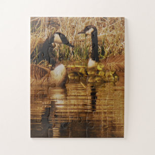 Canada Gans Familie Cute Babies Kuikens Ganzen Legpuzzel