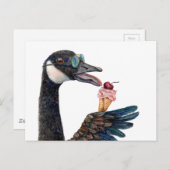 Canada Gans met ijs Briefkaart (Voorkant / Achterkant)