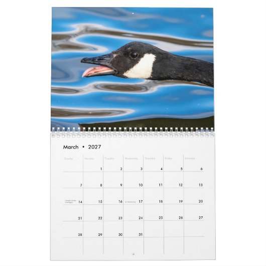 Canada Ganzen 2026 Kalender (Mar 2027)