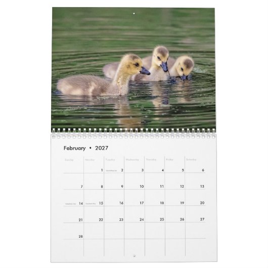 Canada Ganzen 2026 Kalender (Feb 2027)