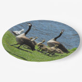 Canada ganzen op de gras door het Bord waterpapier (Gekanteld)