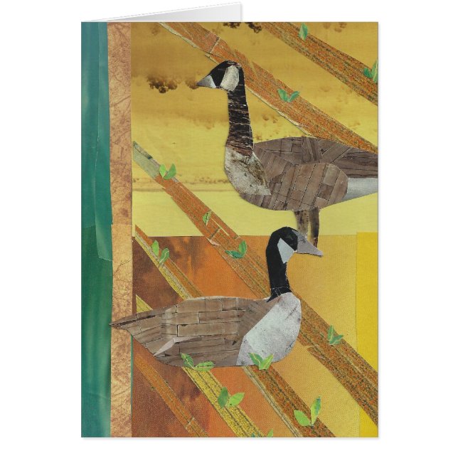 Canada Geese (Voorkant)