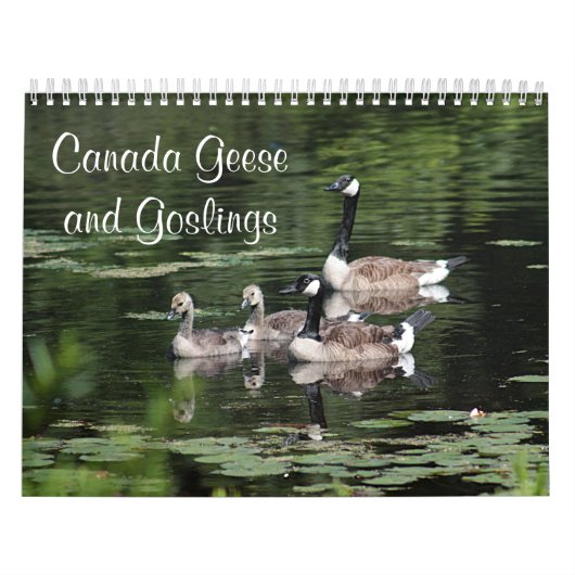 Canada Geese en Goslings Kalender (Hoes)
