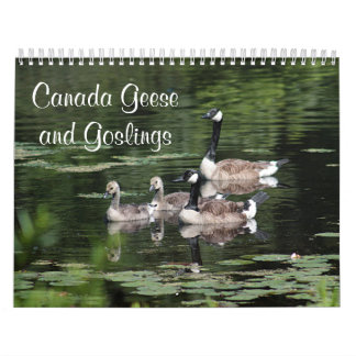 Canada Geese en Goslings Kalender