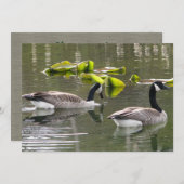 Canada Geese Kaart (Voorkant / Achterkant)