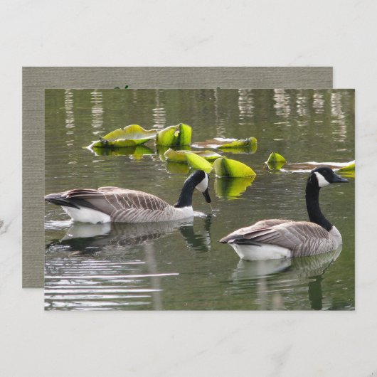 Canada Geese Kaart (Voorkant / Achterkant)