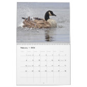 Canada Geese Kalender (Feb 2026)