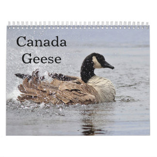Canada Geese Kalender