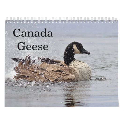 Canada Geese Kalender (Hoes)