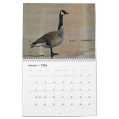 Canada Geese Kalender (Jan 2026)