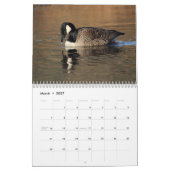 Canada Geese Kalender (Mar 2027)
