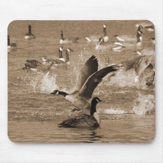 Canada Geese Muismat (Voorkant)