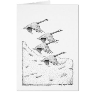 Canada Geese Pen en Ink