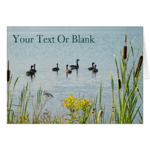 Canada Gese en Cattails