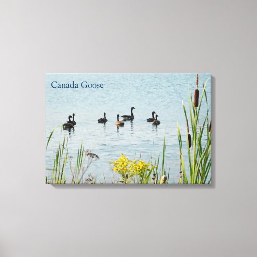 Canada Gese en Cattails Canvas Afdruk (Voorkant)