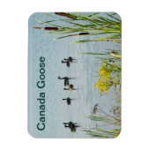 Canada Gese en Cattails Magneet (Verticaal)