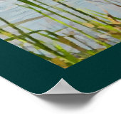 Canada Gese en Cattails Poster (Hoek)