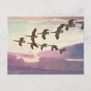 Canada Gese in lente door Newell Convers Wyeth Briefkaart