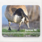 Canada Goos Muismat (Voorkant)