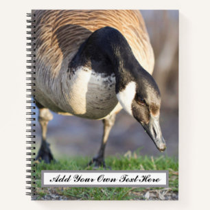Canada Goos Notitieboek