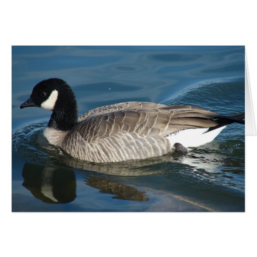 Canada Goose (Voorkant Horizontaal)