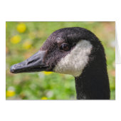 Canada Goose (Voorkant Horizontaal)